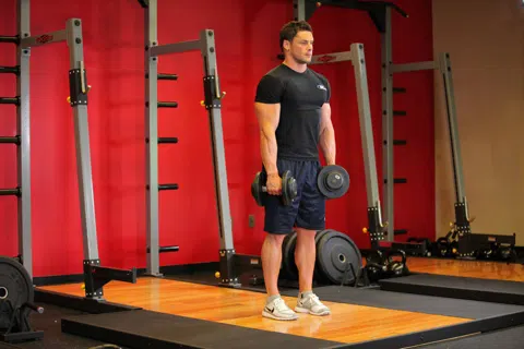 Correct form for Stiff-Leg Dumbbell Deadlift