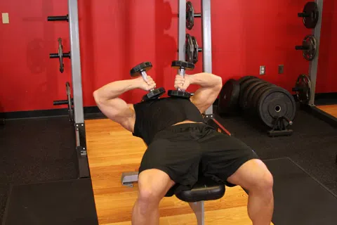 Correct form for Tate Press
