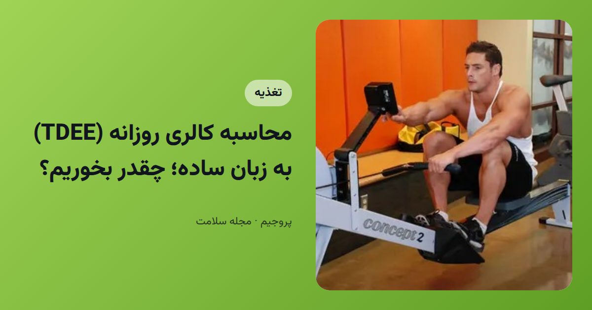 محاسبه کالری روزانه (TDEE) به زبان ساده؛ چقدر بخوریم؟